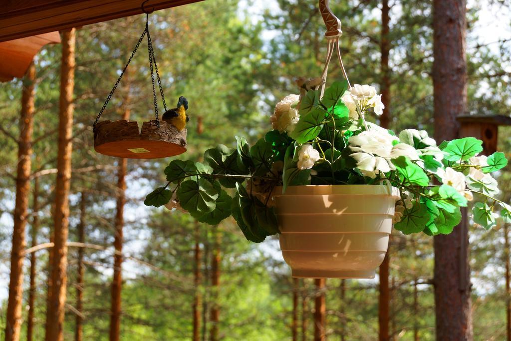 Kettu Holl Cottage Taipalsaari Extérieur photo