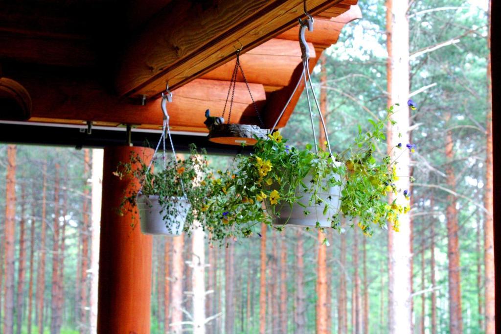 Kettu Holl Cottage Taipalsaari Extérieur photo